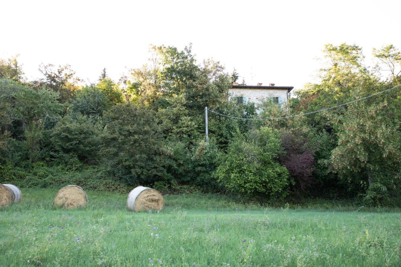 Apartamento La Marcona Serramazzoni Exterior foto